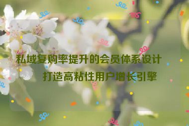 私域復購率提升的會員體系設計，打造高粘性用戶增長引擎