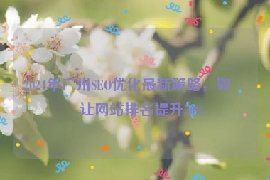 2024年廣州SEO優(yōu)化最新策略，如何讓網(wǎng)站排名提升50%