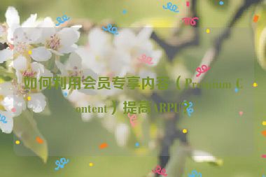 如何利用會員專享內(nèi)容（Premium Content）提高ARPU？