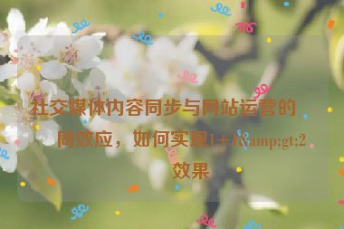 社交媒體內(nèi)容同步與網(wǎng)站運(yùn)營的協(xié)同效應(yīng)，如何實(shí)現(xiàn)1+1&gt;2的效果
