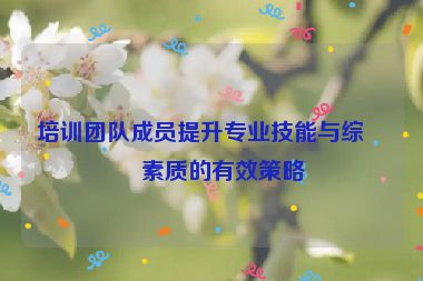 培訓(xùn)團(tuán)隊(duì)成員提升專(zhuān)業(yè)技能與綜合素質(zhì)的有效策略