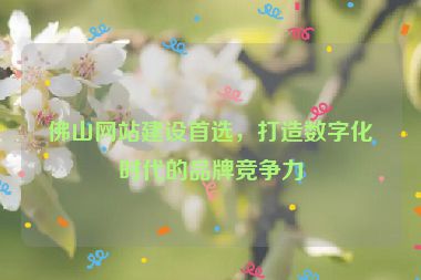 佛山網(wǎng)站建設(shè)首選，打造數(shù)字化時代的品牌競爭力