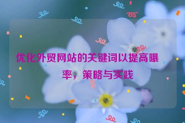 優(yōu)化外貿(mào)網(wǎng)站的關(guān)鍵詞以提高曝光率，策略與實(shí)踐