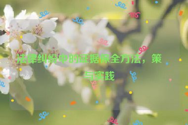法律糾紛中的證據(jù)保全方法，策略與實(shí)踐