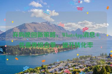 棄購?fù)旎匦虏呗?，WhatsApp消息+優(yōu)惠券組合拳，提升轉(zhuǎn)化率