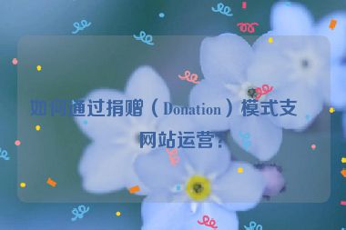 如何通過(guò)捐贈(zèng)（Donation）模式支持網(wǎng)站運(yùn)營(yíng)？