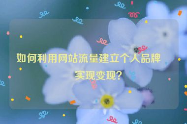 如何利用網(wǎng)站流量建立個(gè)人品牌并實(shí)現(xiàn)變現(xiàn)？