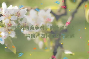 深度分析競爭對手的外貿(mào)網(wǎng)站推廣策略，如何借鑒與超越