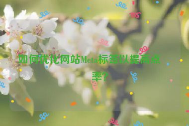 如何優(yōu)化網(wǎng)站Meta標(biāo)簽以提高點擊率？