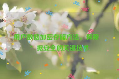 用戶數(shù)據(jù)加密存儲(chǔ)方法，保障數(shù)據(jù)安全的關(guān)鍵技術(shù)