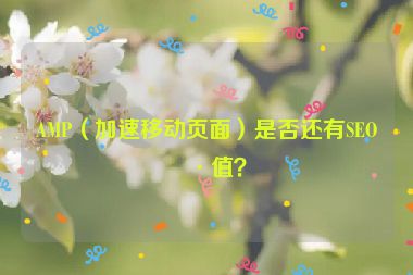 AMP（加速移動頁面）是否還有SEO價值？