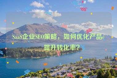 SaaS企業(yè)SEO策略，如何優(yōu)化產(chǎn)品頁提升轉(zhuǎn)化率？