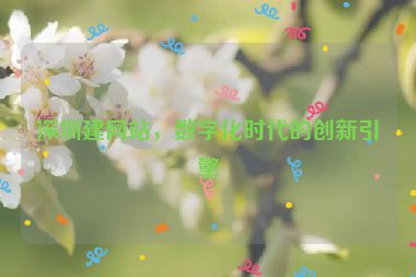 深圳建網(wǎng)站，數(shù)字化時(shí)代的創(chuàng)新引擎