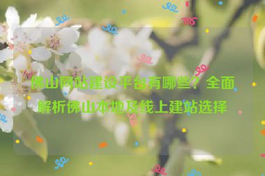 佛山網(wǎng)站建設(shè)平臺有哪些？全面解析佛山本地及線上建站選擇
