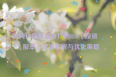 如何計(jì)算百度推廣的ROI（投資回報(bào)率）全面解析與優(yōu)化策略