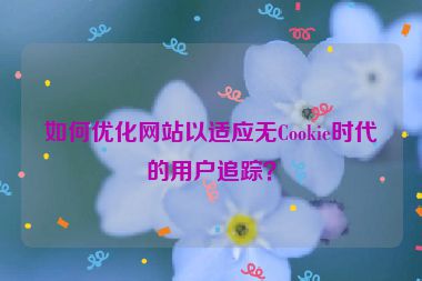 如何優(yōu)化網(wǎng)站以適應(yīng)無Cookie時代的用戶追蹤？