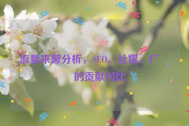 流量來源分析，SEO、社媒、廣告的貢獻對比