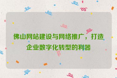 佛山網(wǎng)站建設(shè)與網(wǎng)絡(luò)推廣，打造企業(yè)數(shù)字化轉(zhuǎn)型的利器