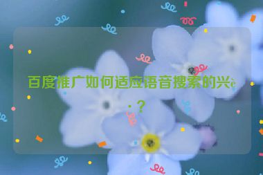 百度推廣如何適應(yīng)語音搜索的興起？