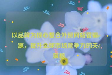 以品牌為核心整合外貿(mào)網(wǎng)站營(yíng)銷資源，提升全球市場(chǎng)競(jìng)爭(zhēng)力的關(guān)鍵策略