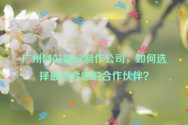 廣州網(wǎng)站建設(shè)制作公司，如何選擇最適合您的合作伙伴？