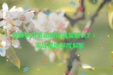 營銷如何驅(qū)動(dòng)網(wǎng)站流量增長？5個(gè)實(shí)戰(zhàn)案例深度解析