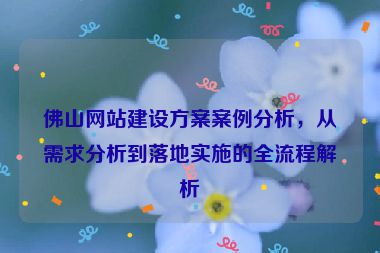 佛山網(wǎng)站建設(shè)方案案例分析，從需求分析到落地實施的全流程解析