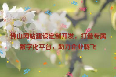 佛山網(wǎng)站建設(shè)定制開發(fā)，打造專屬數(shù)字化平臺，助力企業(yè)騰飛