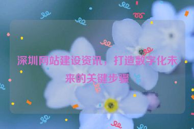 深圳網(wǎng)站建設(shè)資訊，打造數(shù)字化未來的關(guān)鍵步驟