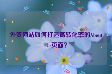 外貿(mào)網(wǎng)站如何打造高轉(zhuǎn)化率的About Us頁面？