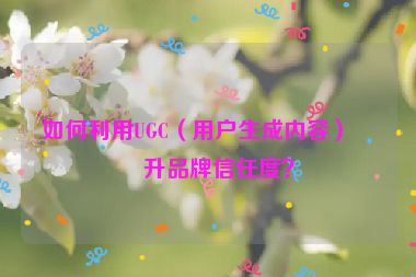 如何利用UGC（用戶生成內(nèi)容）提升品牌信任度？