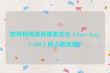 如何利用語音搜索優(yōu)化（Voice Search SEO）搶占新流量？
