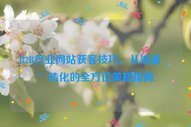 B2B行業(yè)網(wǎng)站獲客技巧，從流量到轉(zhuǎn)化的全方位策略指南