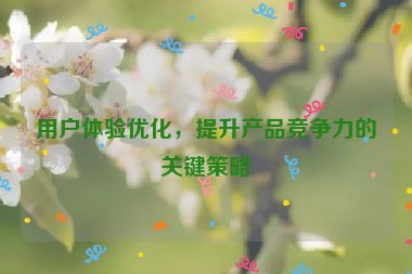 用戶體驗優(yōu)化，提升產(chǎn)品競爭力的關(guān)鍵策略