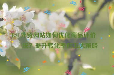 B2C外貿(mào)網(wǎng)站如何優(yōu)化商品評(píng)價(jià)系統(tǒng)？提升轉(zhuǎn)化率的五大策略