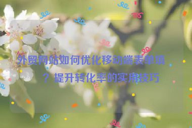 外貿(mào)網(wǎng)站如何優(yōu)化移動(dòng)端表單填寫？提升轉(zhuǎn)化率的實(shí)用技巧