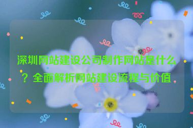 深圳網(wǎng)站建設(shè)公司制作網(wǎng)站是什么？全面解析網(wǎng)站建設(shè)流程與價值