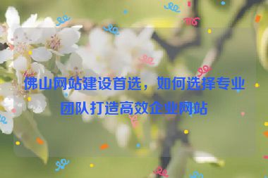 佛山網(wǎng)站建設(shè)首選，如何選擇專業(yè)團(tuán)隊(duì)打造高效企業(yè)網(wǎng)站