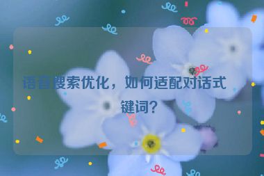 語音搜索優(yōu)化，如何適配對(duì)話式關(guān)鍵詞？
