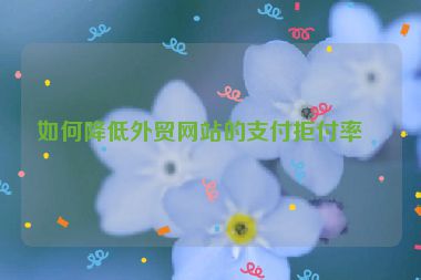 如何降低外貿(mào)網(wǎng)站的支付拒付率？