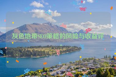 灰色地帶SEO策略的風(fēng)險(xiǎn)與收益評(píng)估