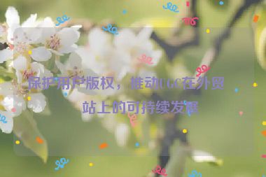 保護(hù)用戶版權(quán)，推動UGC在外貿(mào)網(wǎng)站上的可持續(xù)發(fā)展
