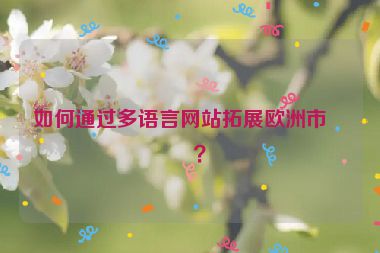 如何通過多語言網(wǎng)站拓展歐洲市場？