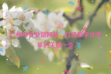 廣州市專業(yè)做網(wǎng)站，打造數(shù)字化未來的關鍵一步