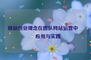 精益創(chuàng)業(yè)理念在團隊網(wǎng)站運營中的應用與實踐