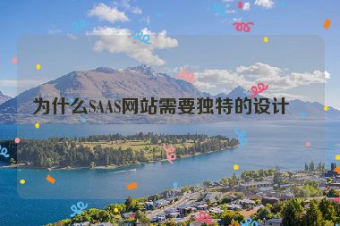 為什么SAAS網(wǎng)站需要獨特的設(shè)計？