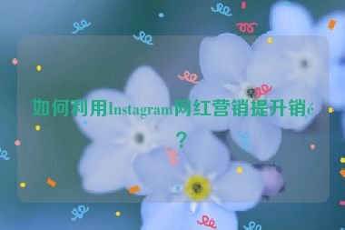 如何利用Instagram網(wǎng)紅營(yíng)銷提升銷量？