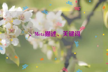 、Meta描述、關(guān)鍵詞