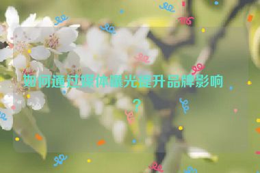 如何通過媒體曝光提升品牌影響力？