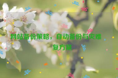 網(wǎng)站備份策略，自動(dòng)備份與災(zāi)難恢復(fù)方案